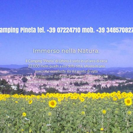 Camping Pineta Hotel Urbino Exterior foto