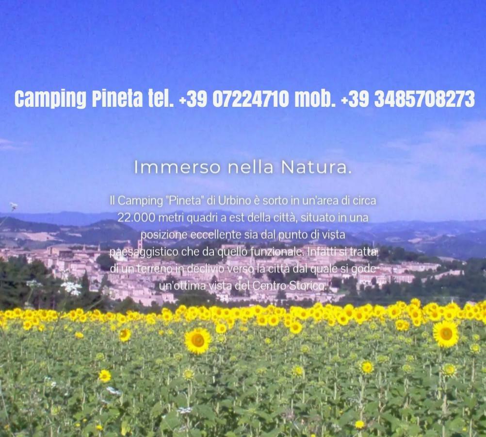 Camping Pineta Hotel Urbino Exterior foto
